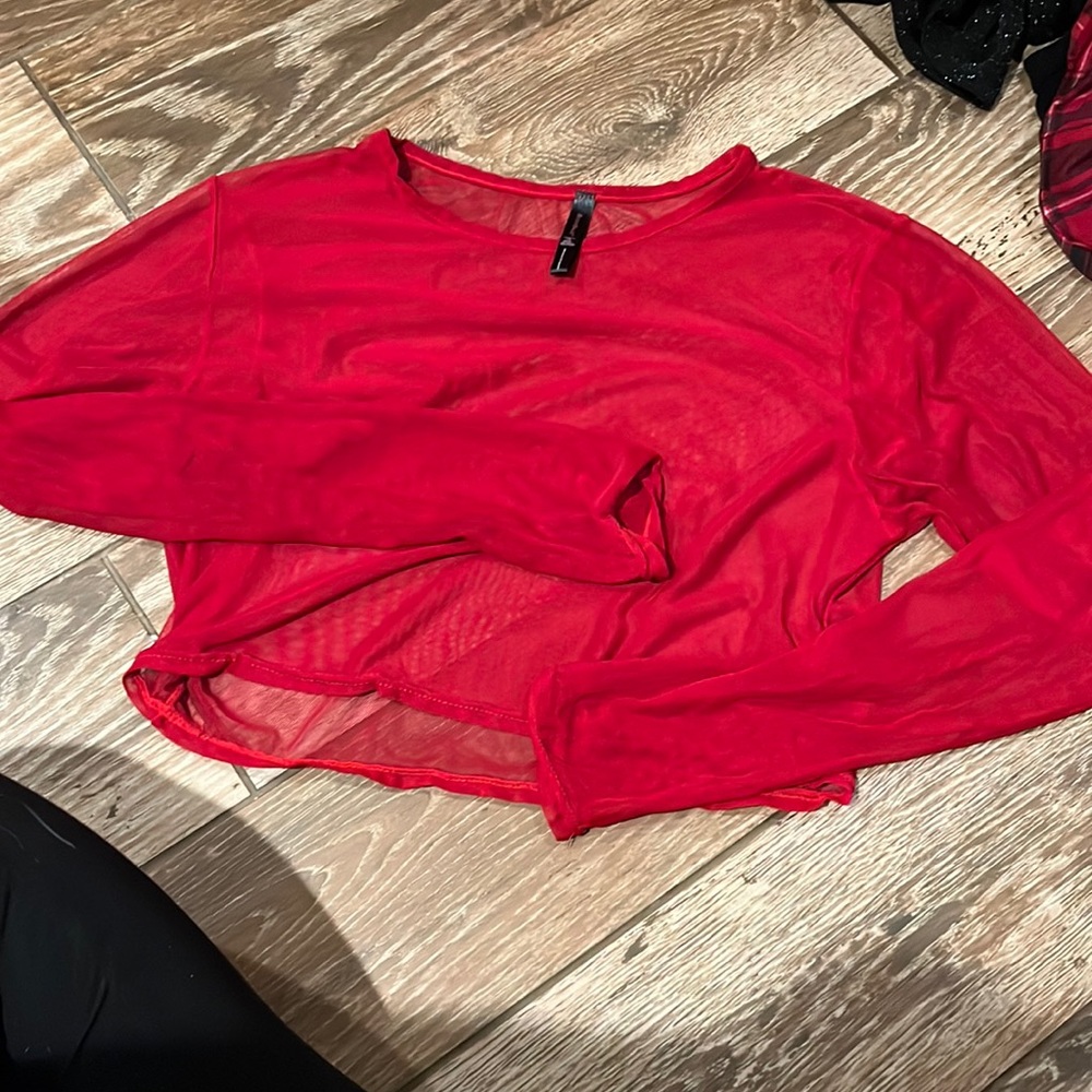 sheer long sleeve crop top